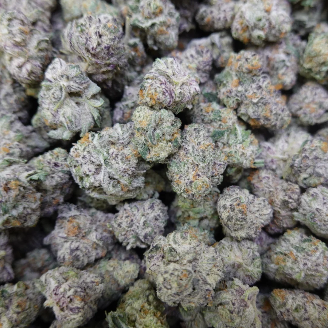 Purple Punch Mediums - Image 2