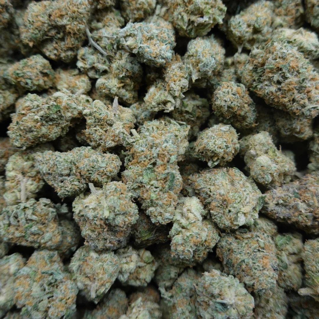 Rainbow Guava Mediums - Image 3