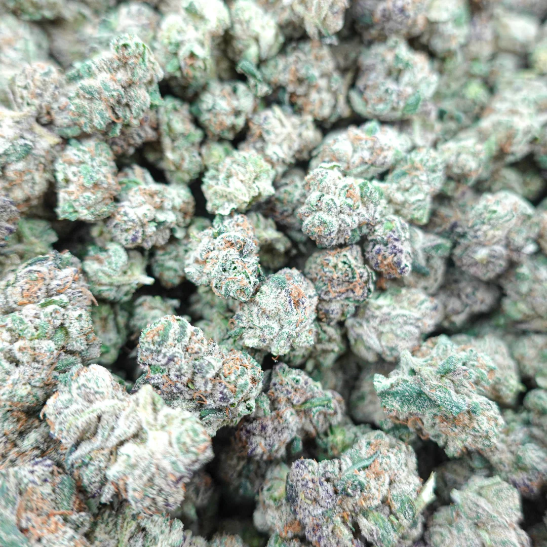 Rainbow Lemonade Smalls - Image 2