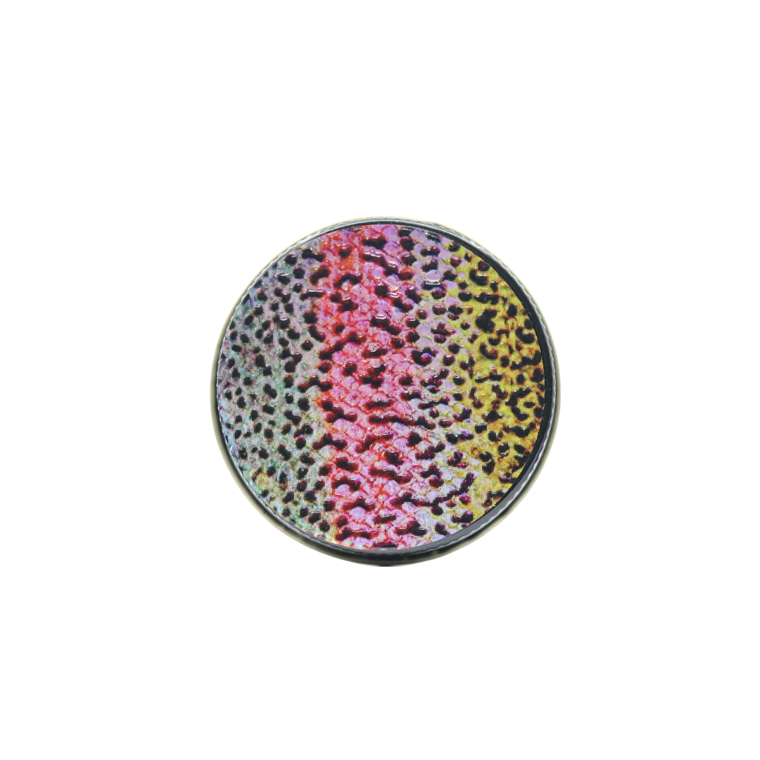 Rainbow Troutz - Image 3
