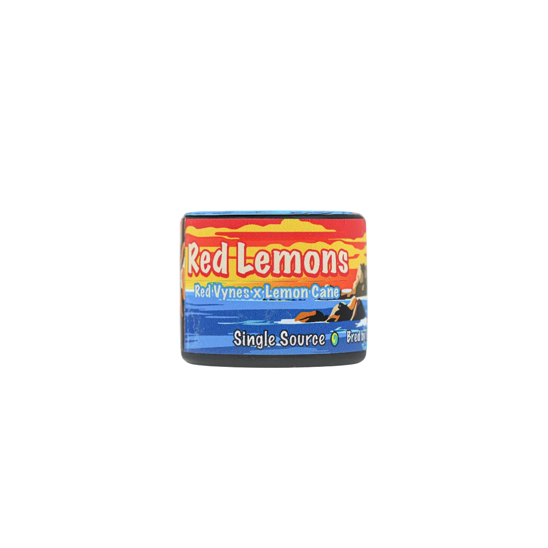 Red Lemons Rosin - Image 3