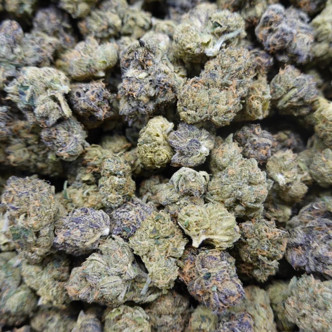 Royal Runtz Mediums - Image 2