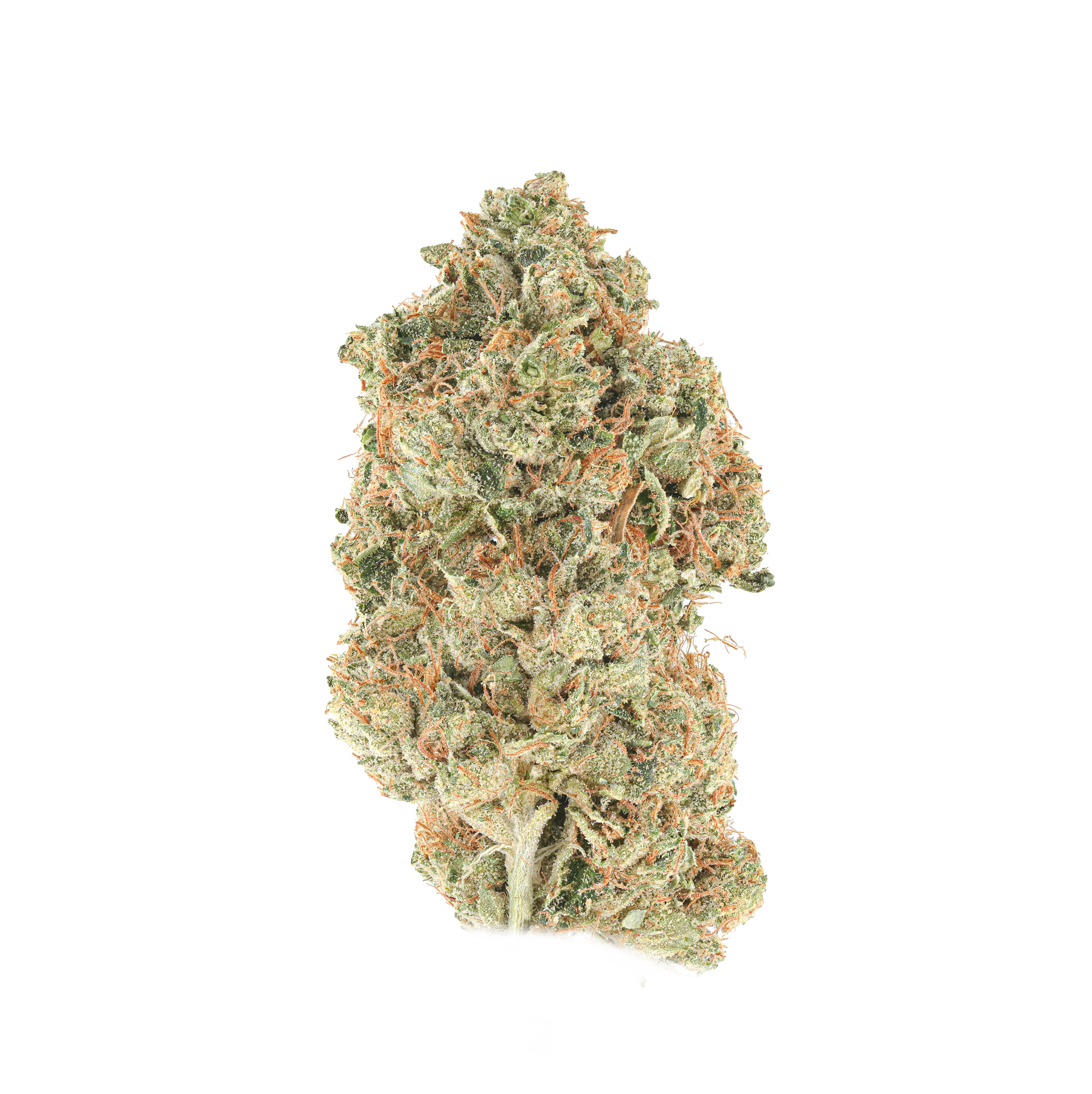 SFV OG