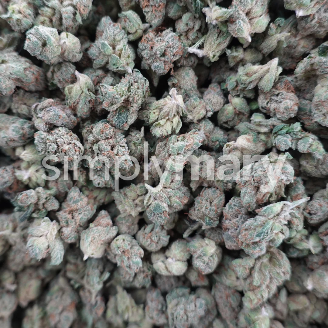 Skywalker OG Smalls - Image 3