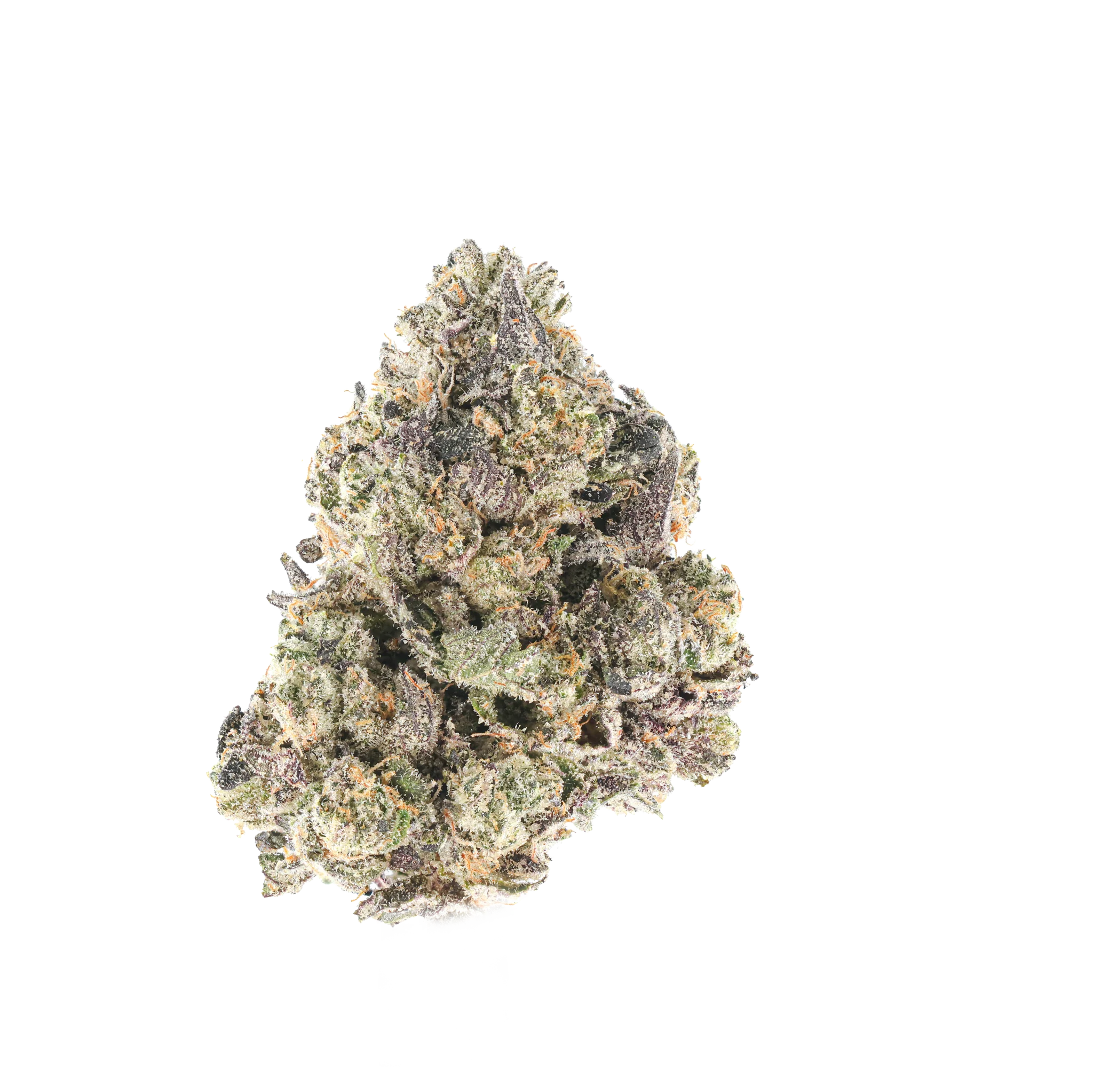 Sorbetto
