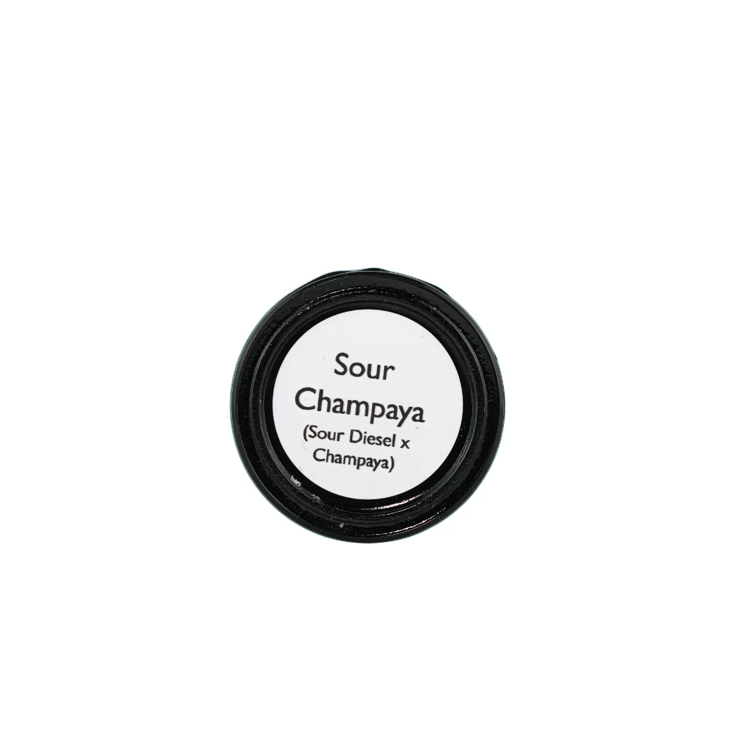 Sour Champaya Rosin - Image 2