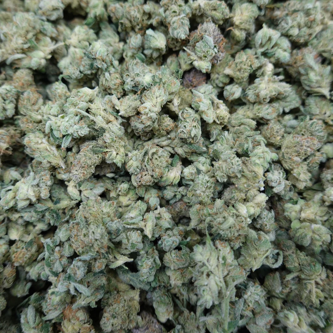 Sour OG Smalls - Image 3