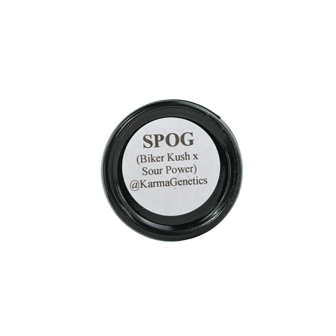 SPOG Rosin - Image 2