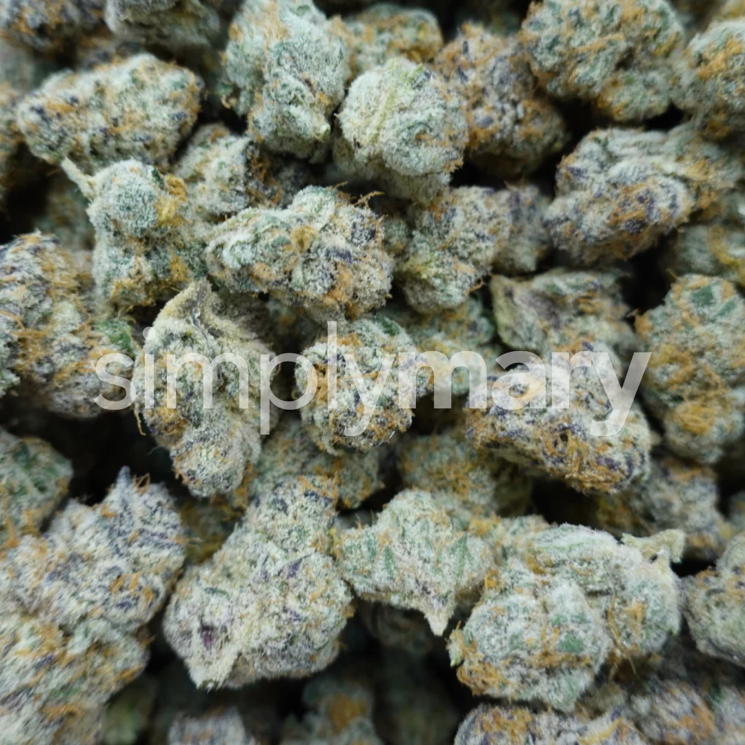 Strawberry Cherry Gelato Mediums - Image 3