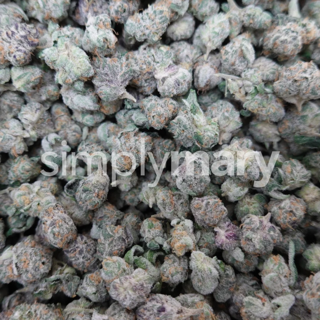 Strawberry Gelato Smalls - Image 2