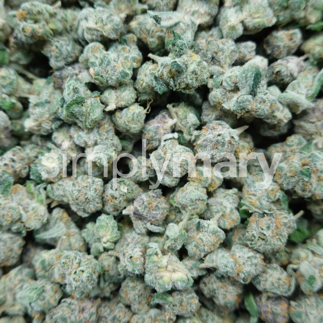 Strawberry Gelato Smalls - Image 3