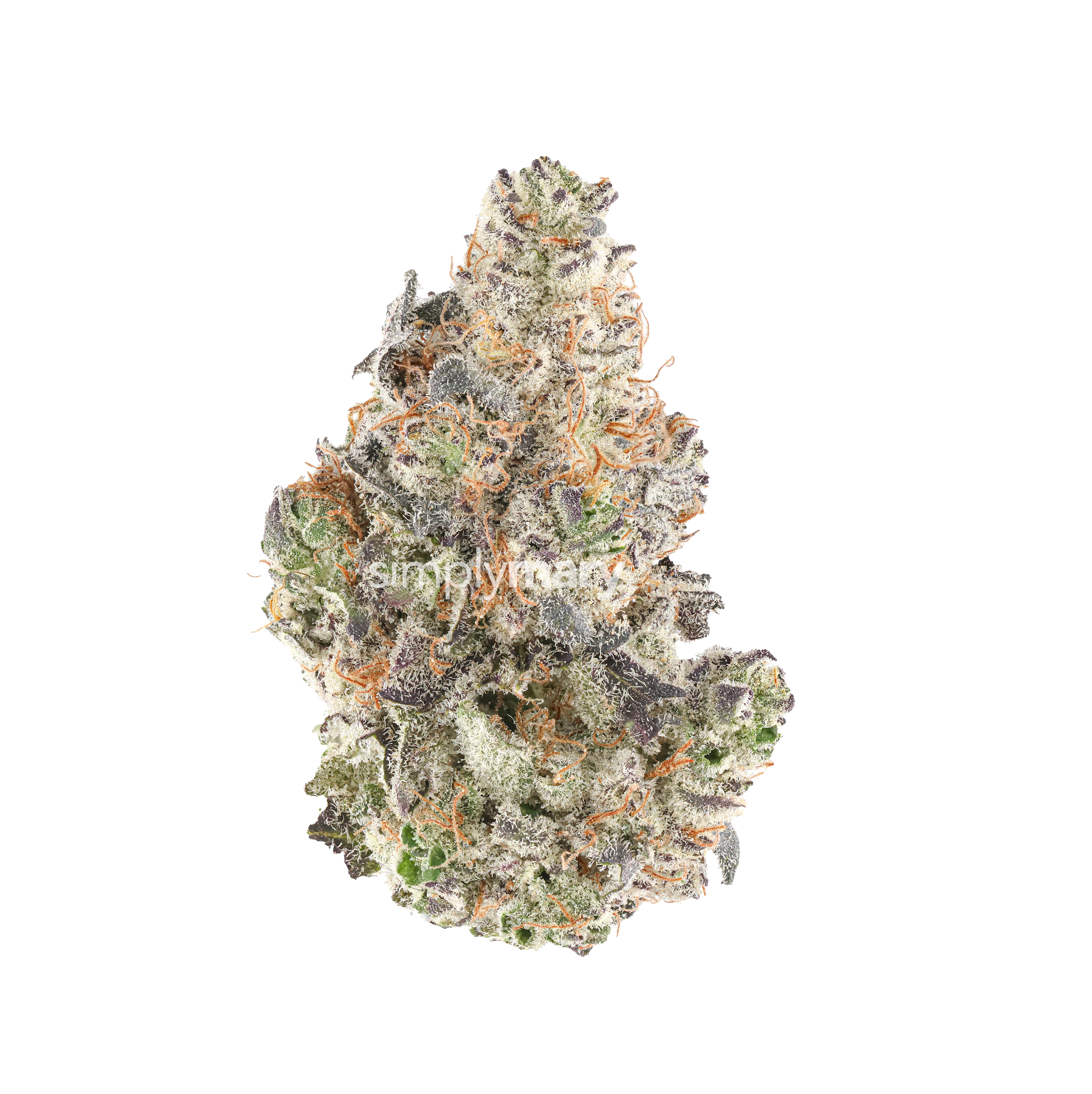 Sundae Ecstasy #4