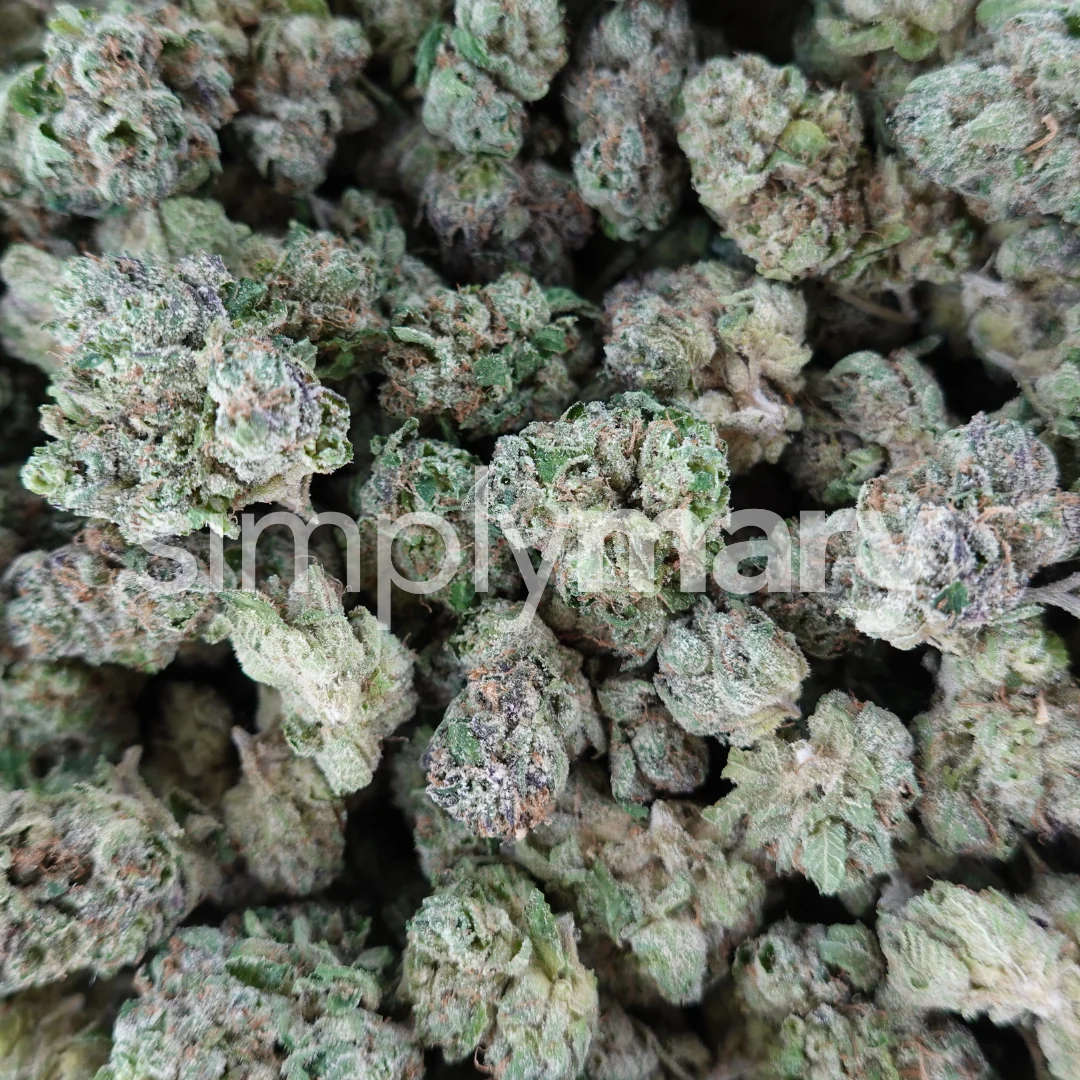 Sweet Gas Mediums - Image 3