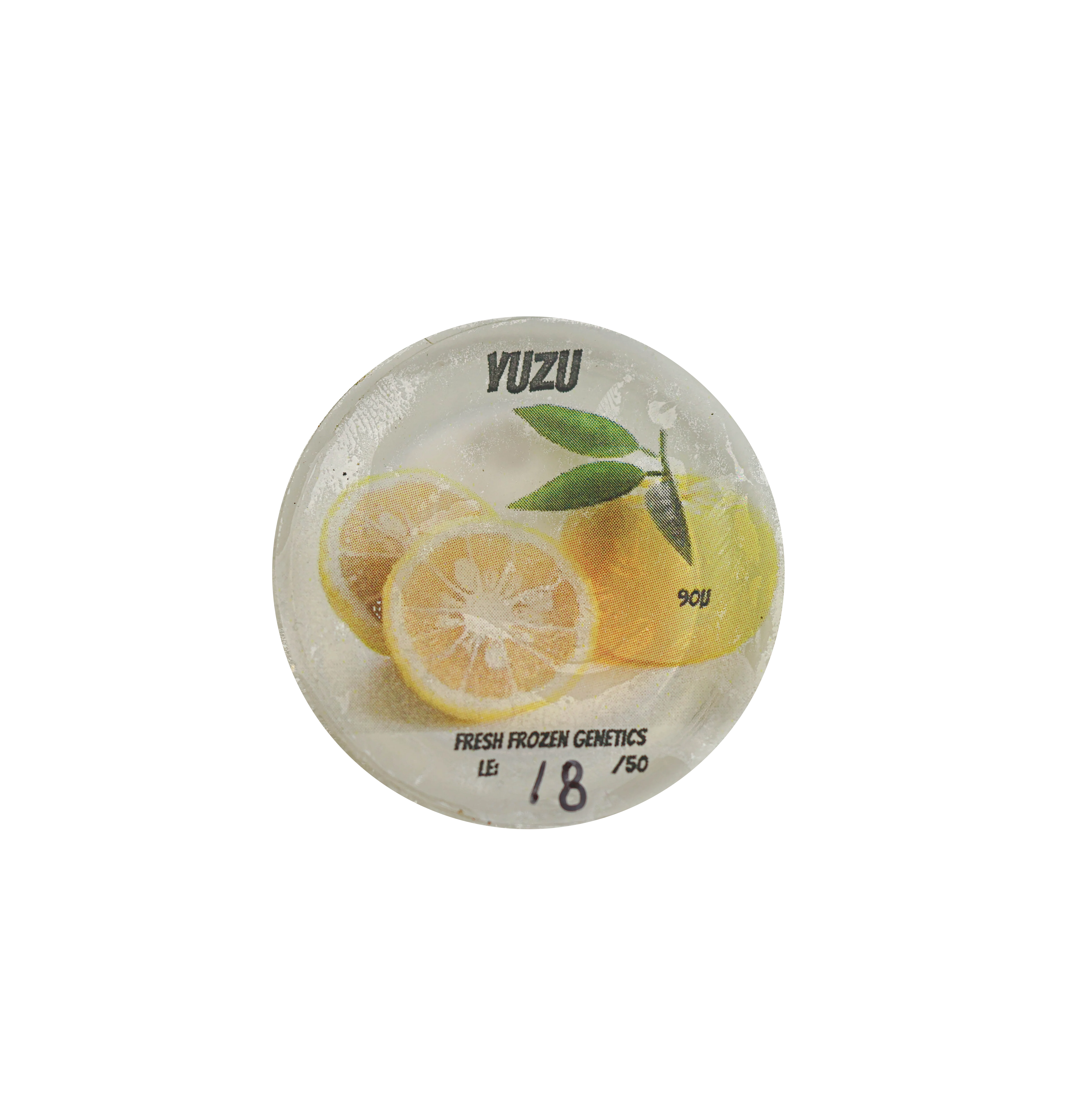 Yuzu Full Melt - Image 2