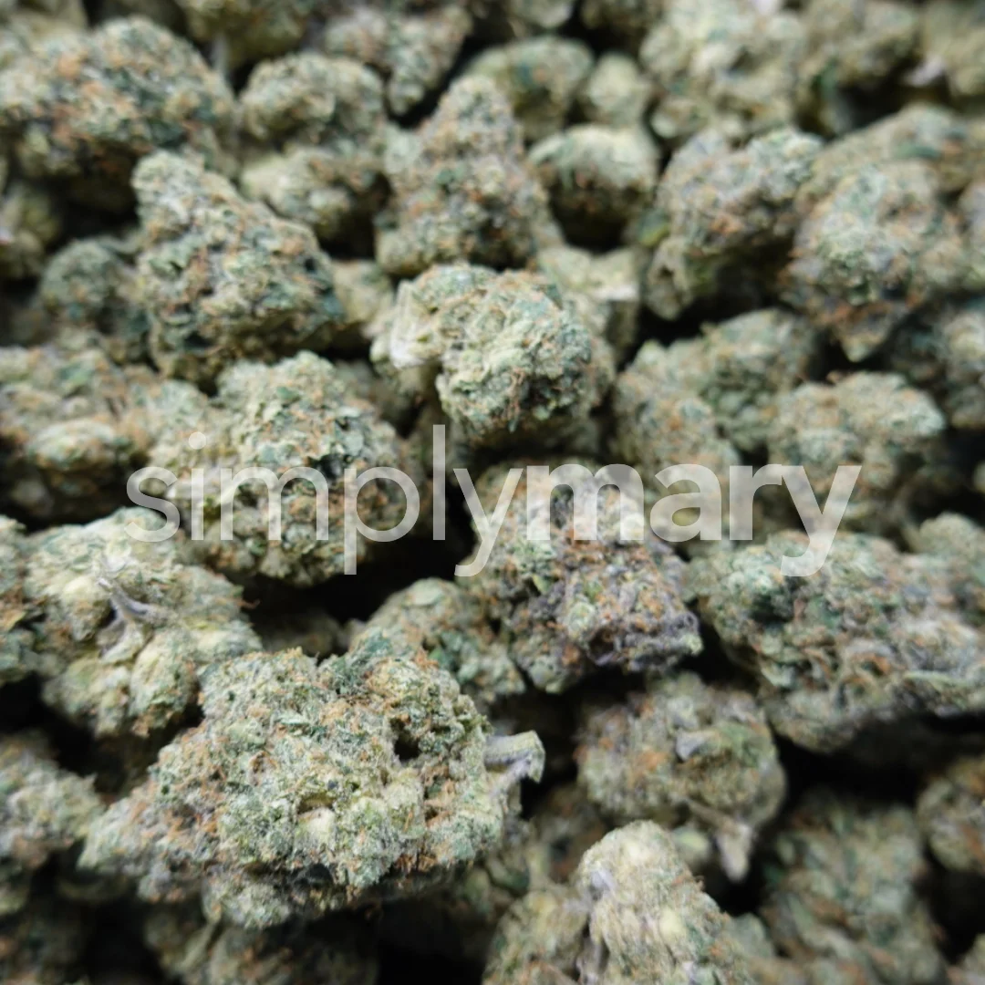 Z3 Mediums - Image 3