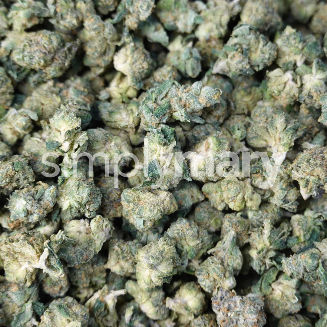 Z3 Smalls - Image 2