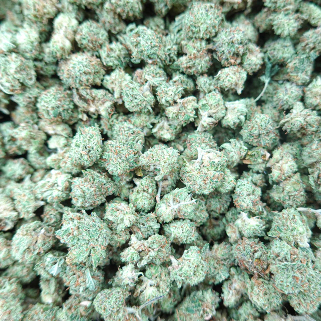 Zkittlez Smalls - Image 2